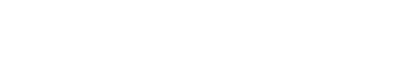 What is Dedimon Web